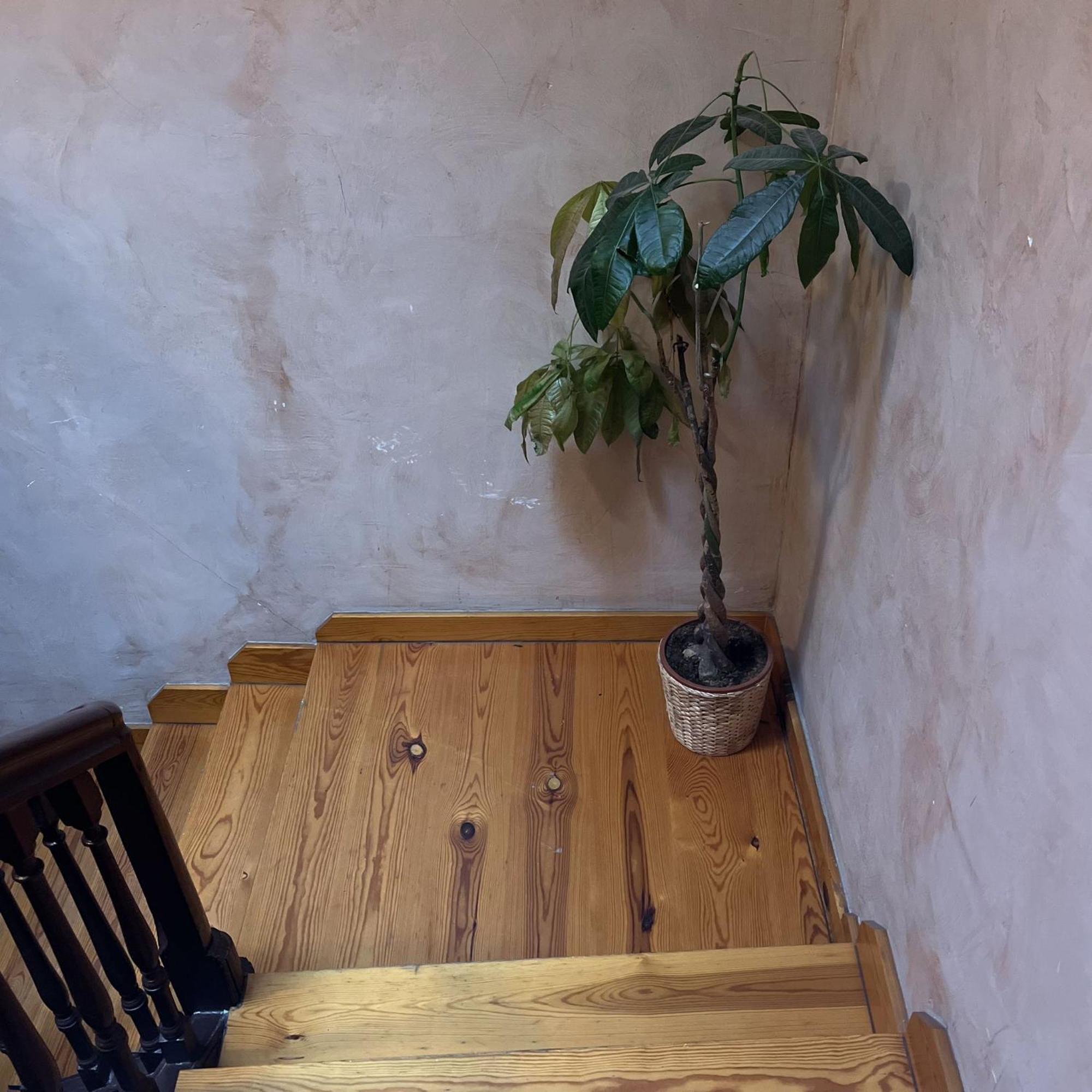 Apartmán Calera 2 Burgo Exteriér fotografie